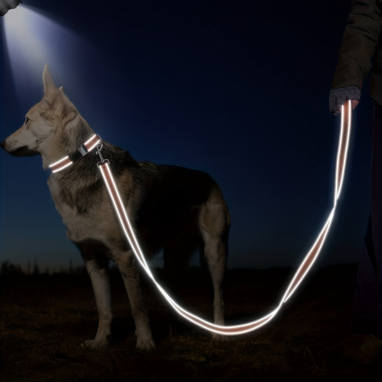 Personalized Reflective Embroidery Double Handle Dog Leash