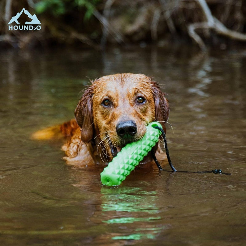 Dog Floating Rope Bumper Heavy Duty Chew Resistant Toy