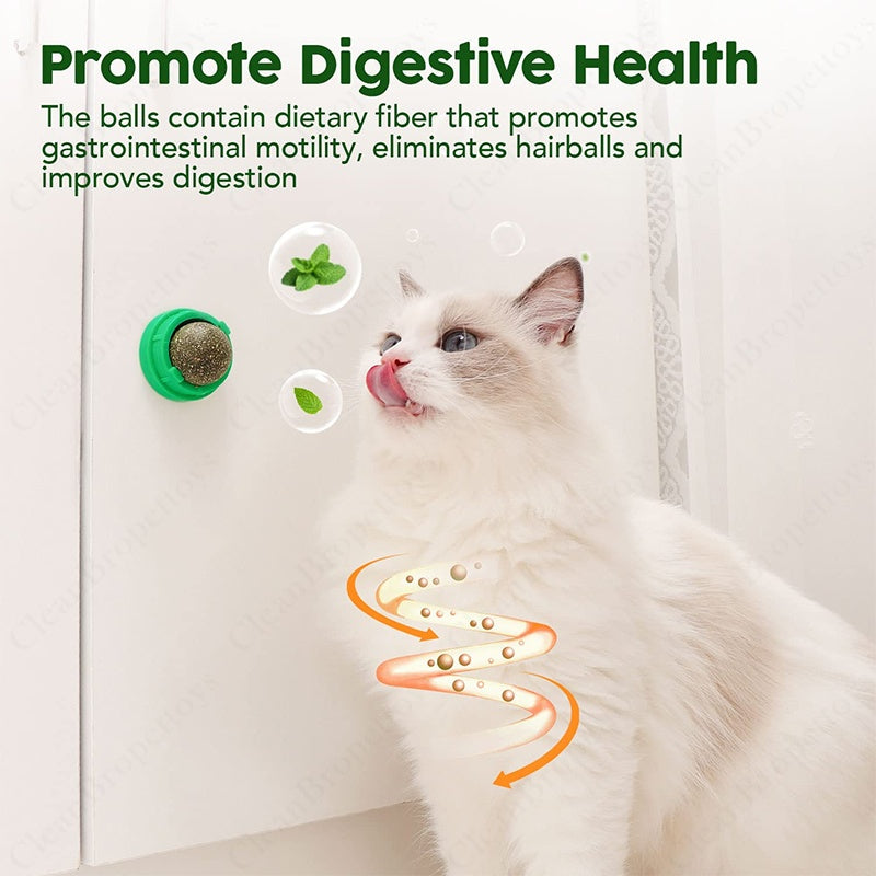 Cat Mint Grass Ball Chew Toy For Dental Care Wall Mounted