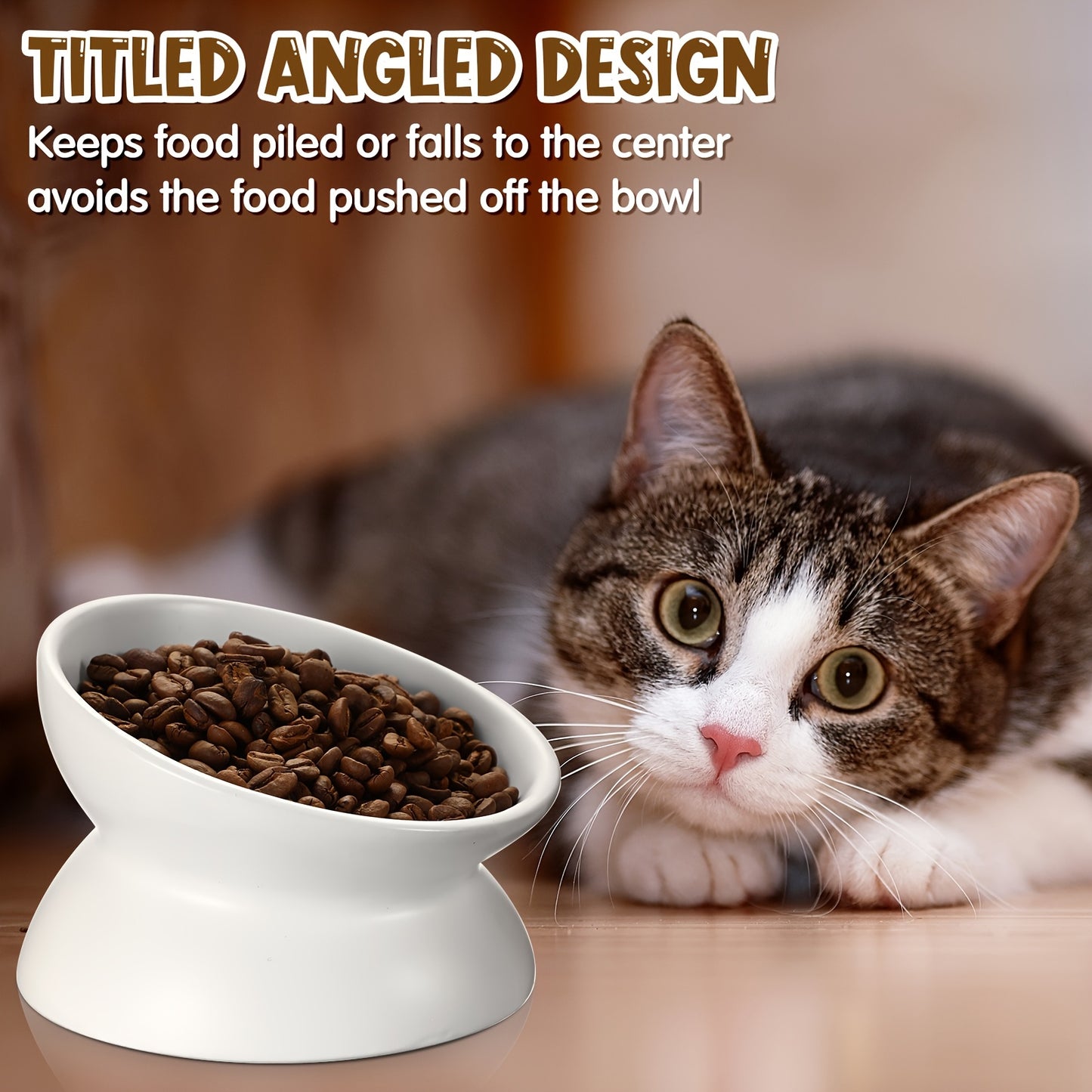 Ceramic Elevated Cat Bowls Tilted Backflow Dishwasher Safe