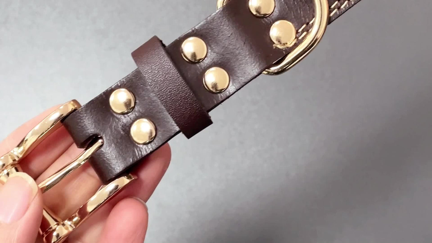 Personalized Engraved Dog Collar with Adjustable Buckle