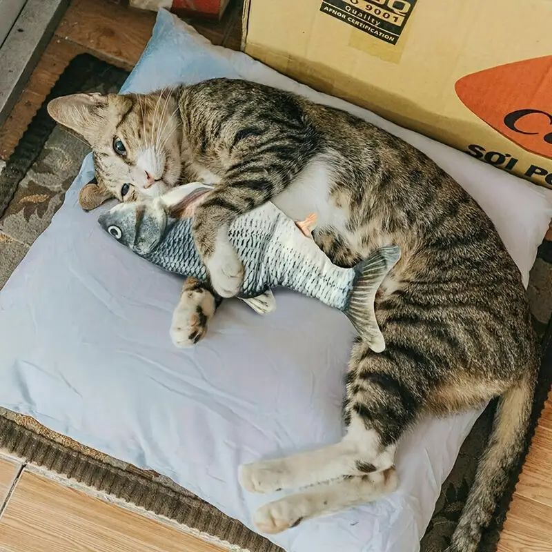 Floppy Fish Cat Toy Realistic Interactive Dancing Wiggle