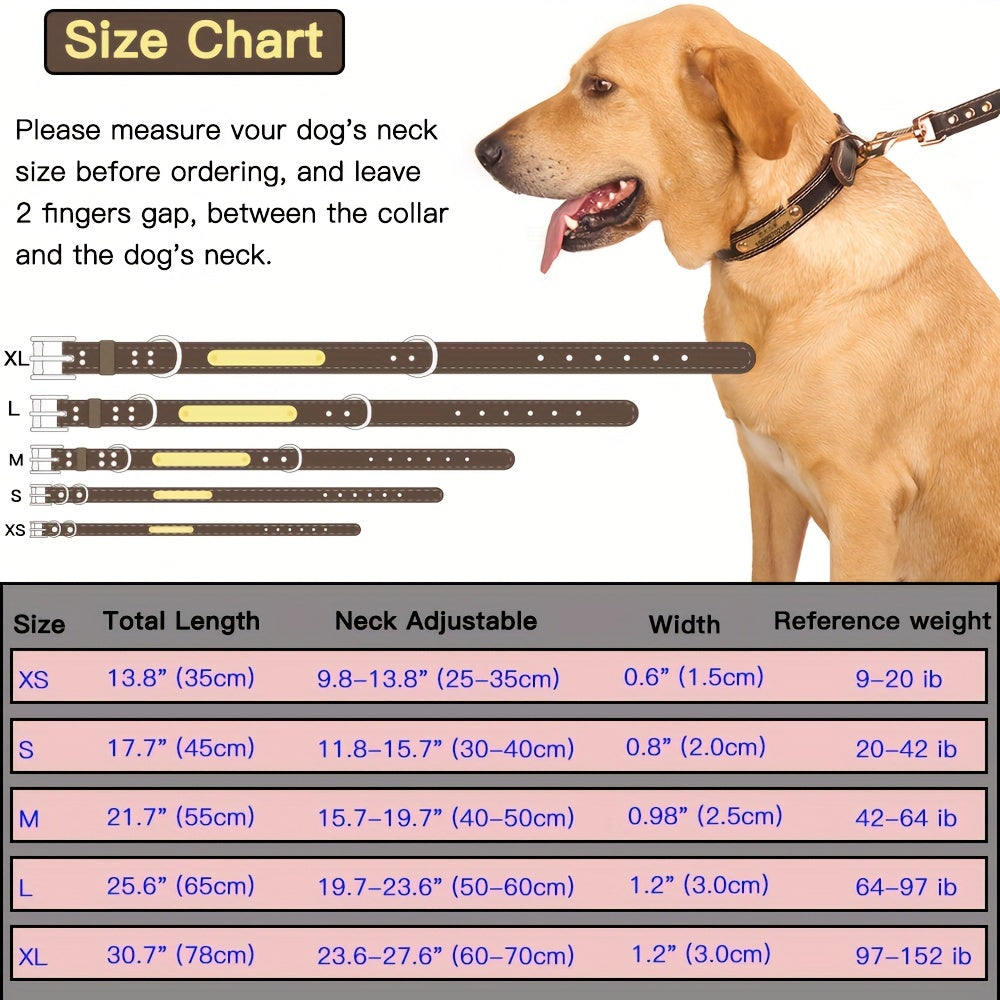 Personalized Engraved Dog Collar with Adjustable Buckle