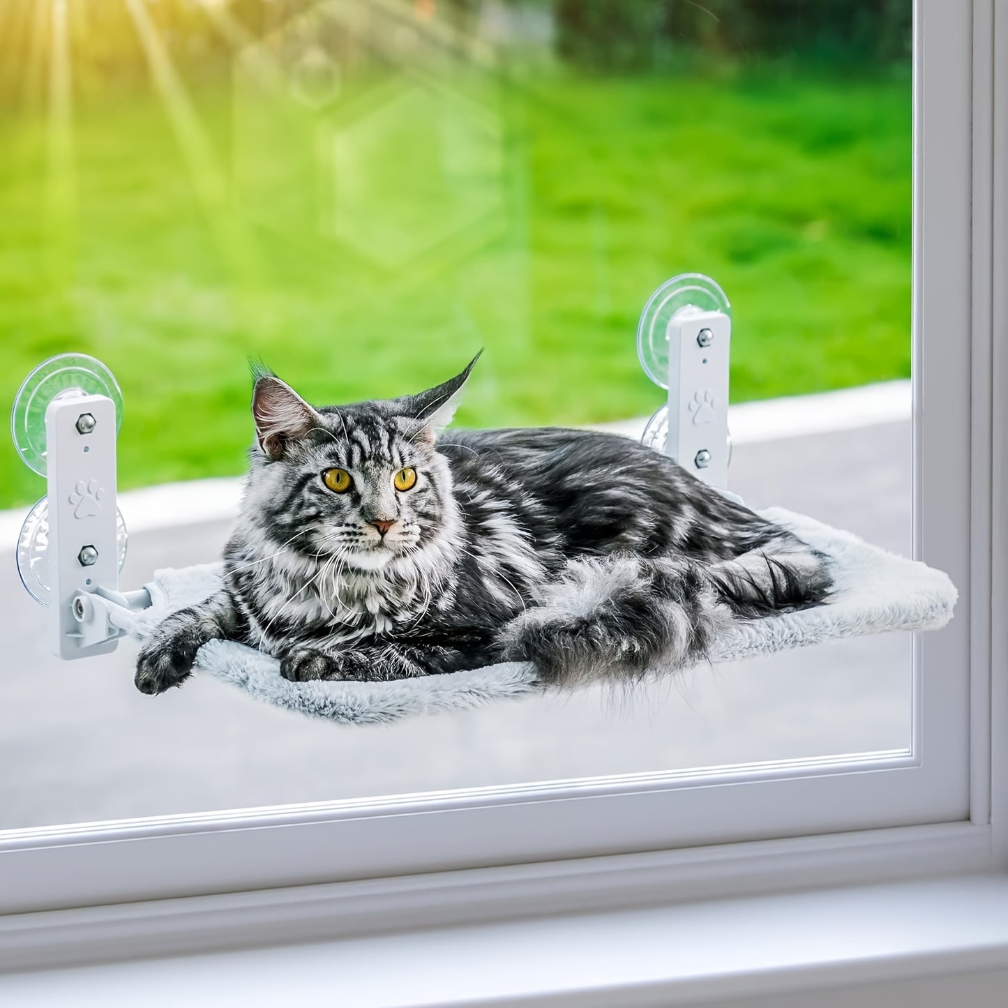 Foldable Cat Window Perch With Iron Frame And Suction Cups