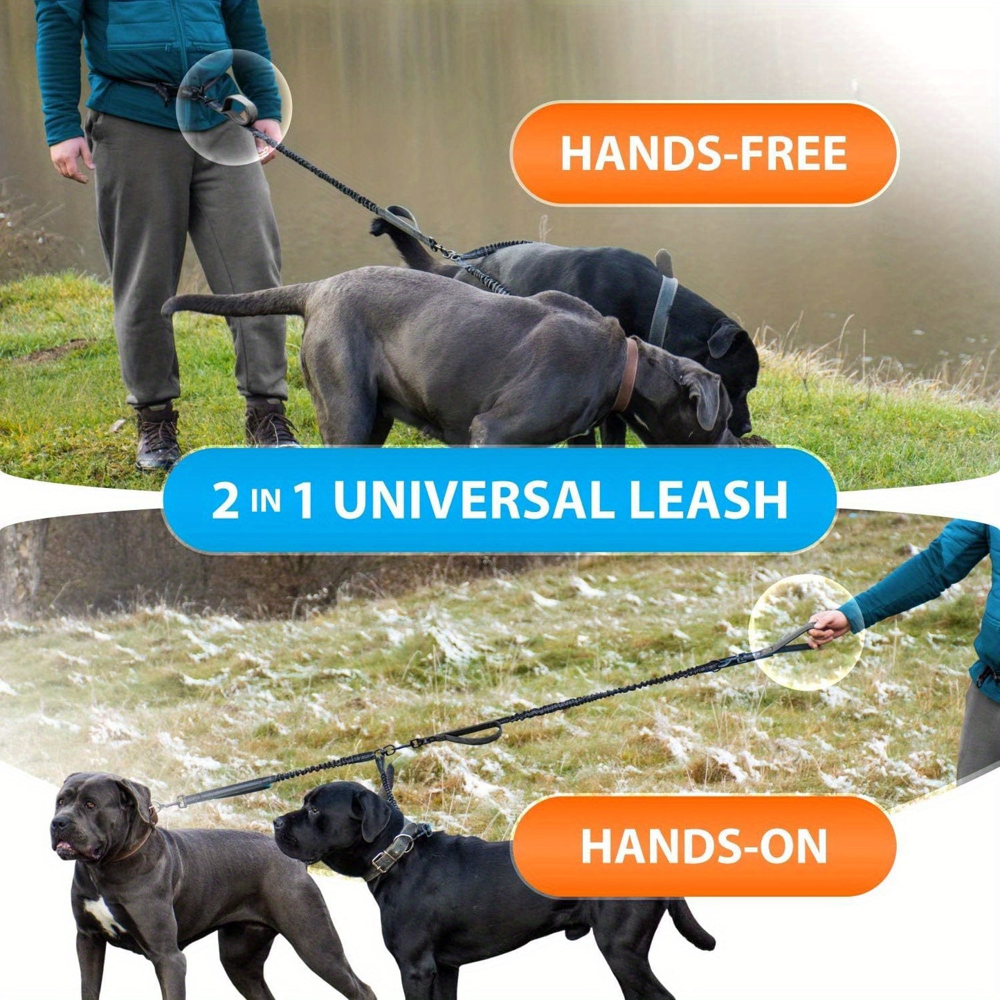 Hands Free Double Dog Leash with Padded Handles and Reflective Stitches