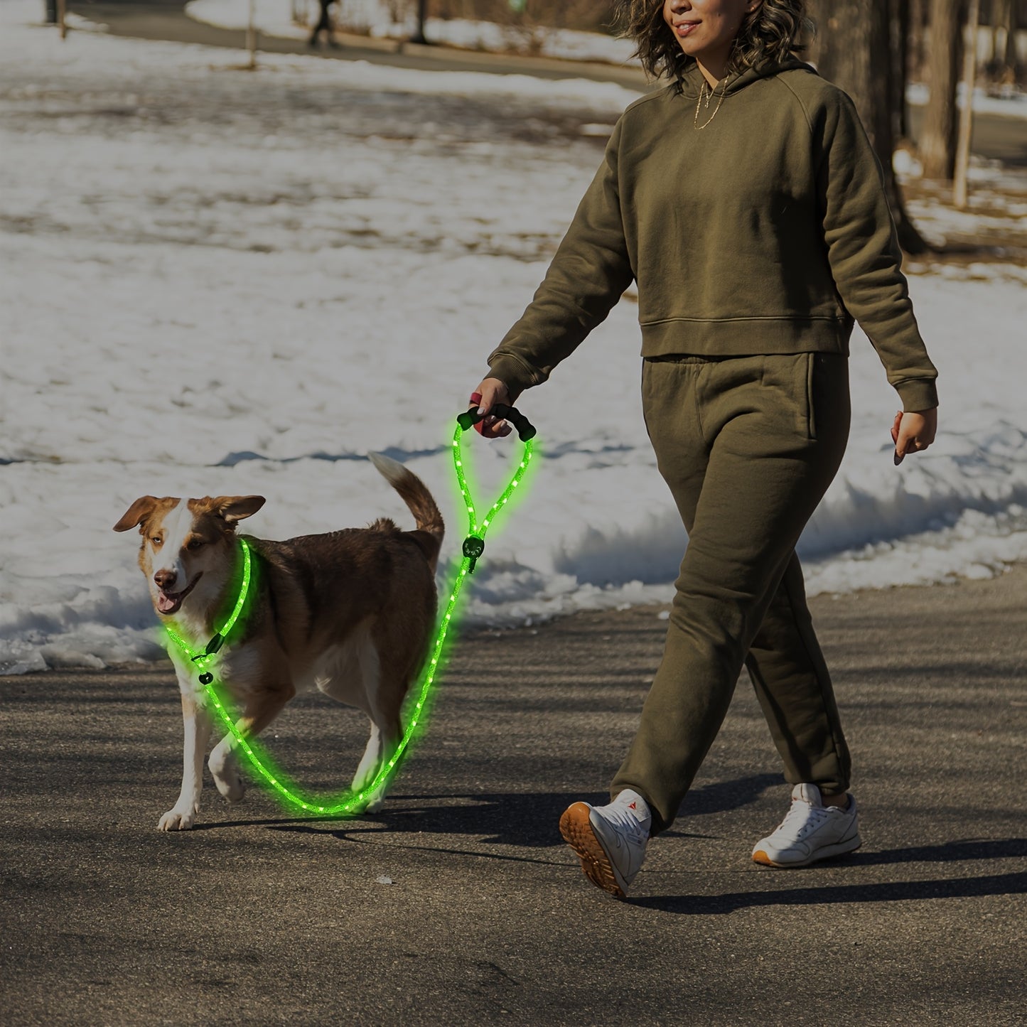LED Glow In The Dark Dog Leash With Night Light Waterproof