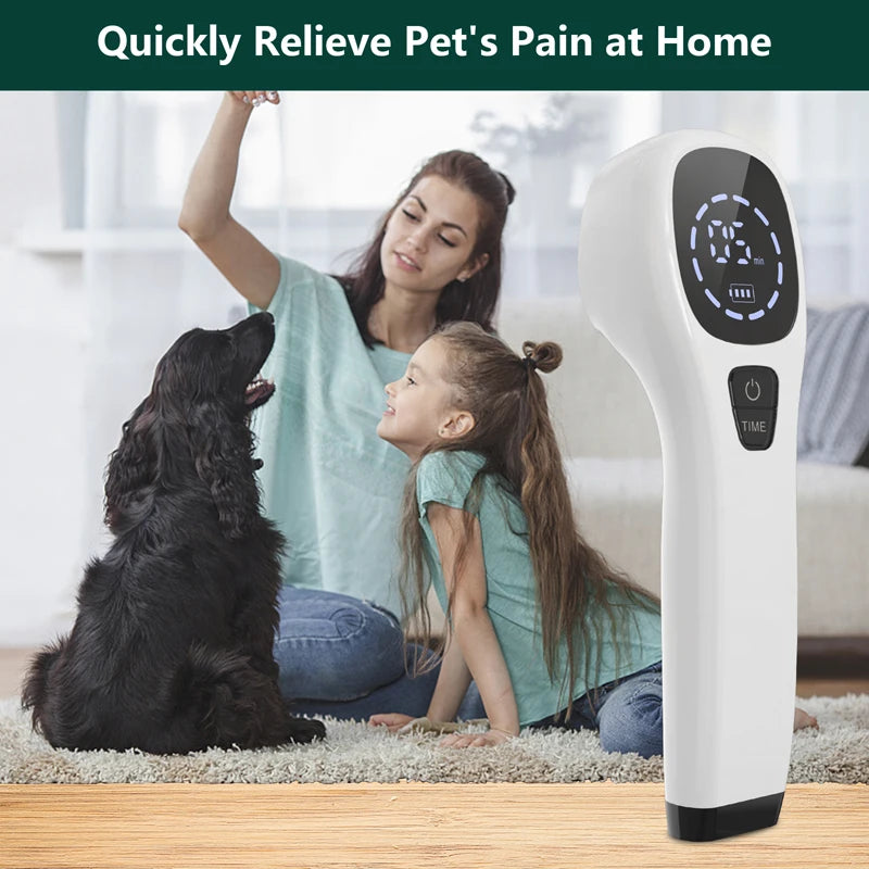 Handheld 808nm Laser Therapy for Dogs Red Light Pain Relief