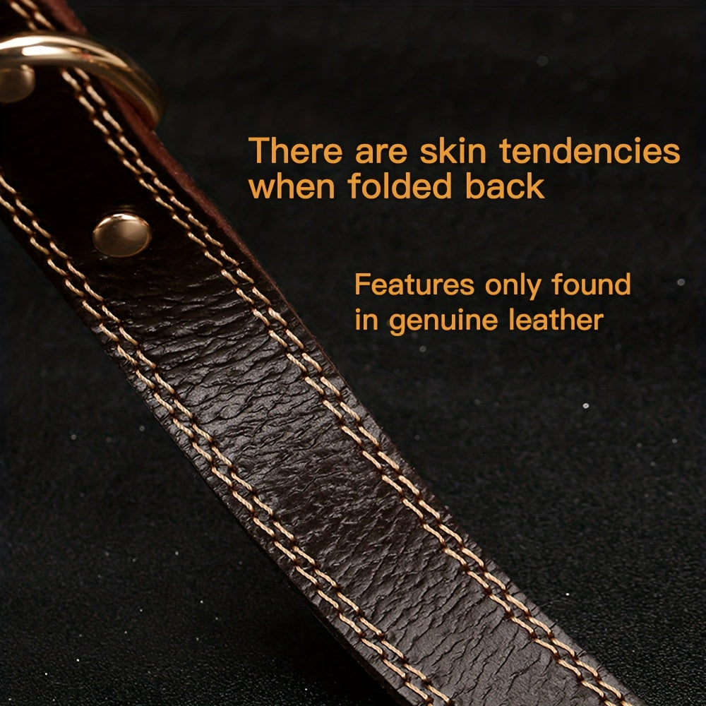 Personalized Engraved Dog Collar with Adjustable Buckle