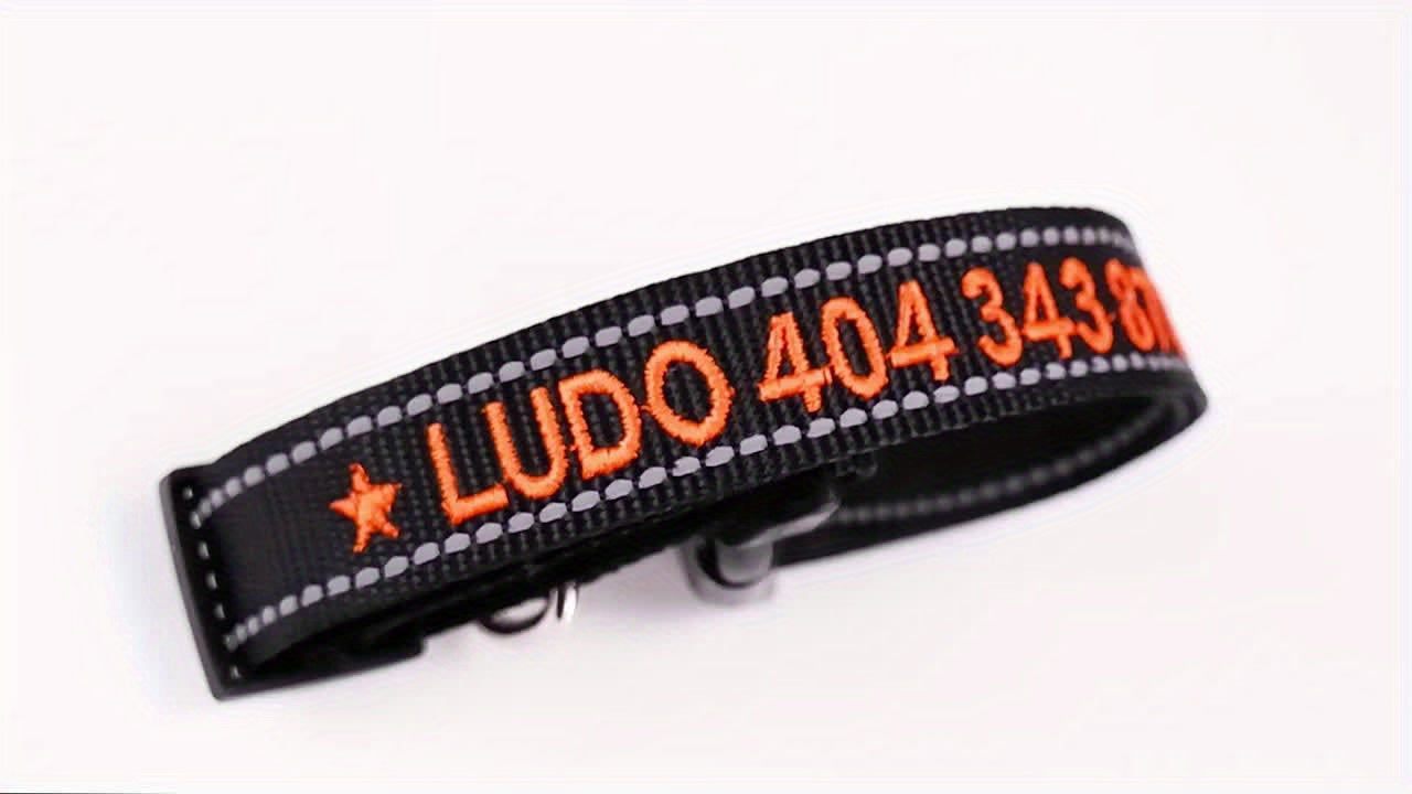 Personalized Reflective Embroidery Double Handle Dog Leash