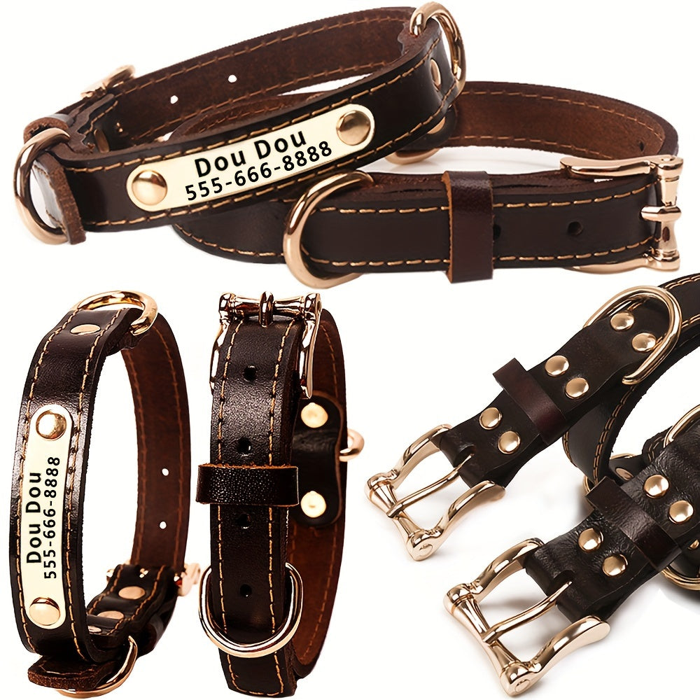 Personalized Engraved Dog Collar with Adjustable Buckle