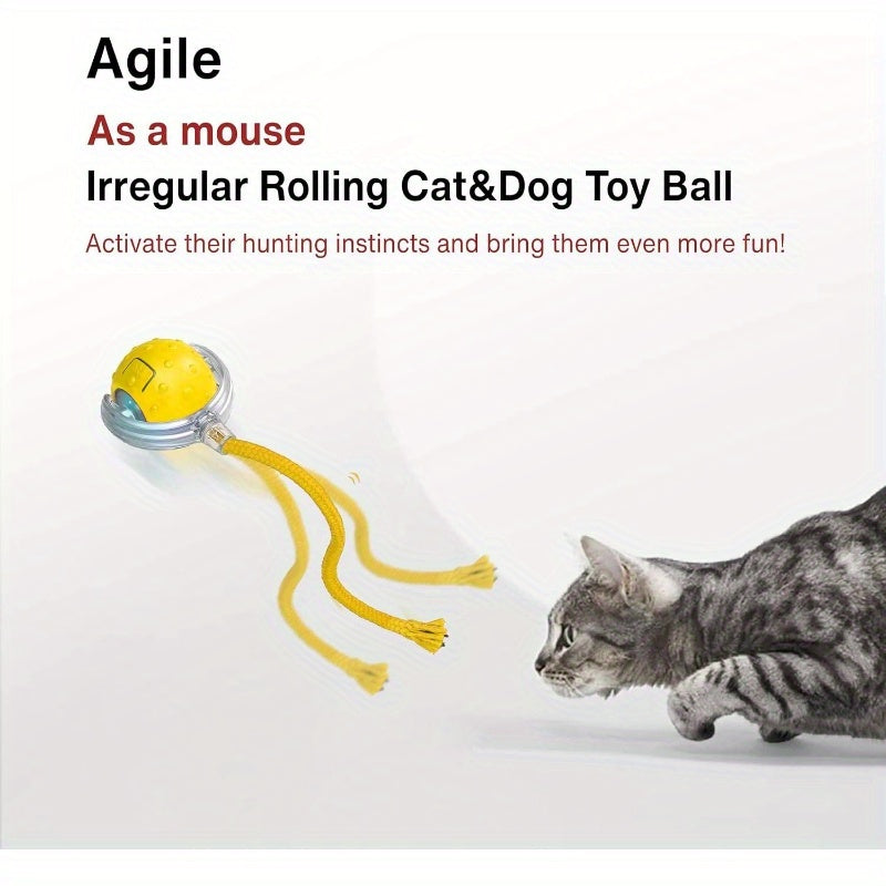 Motion Activated Rolling Ball Cat Toy With LED Lights