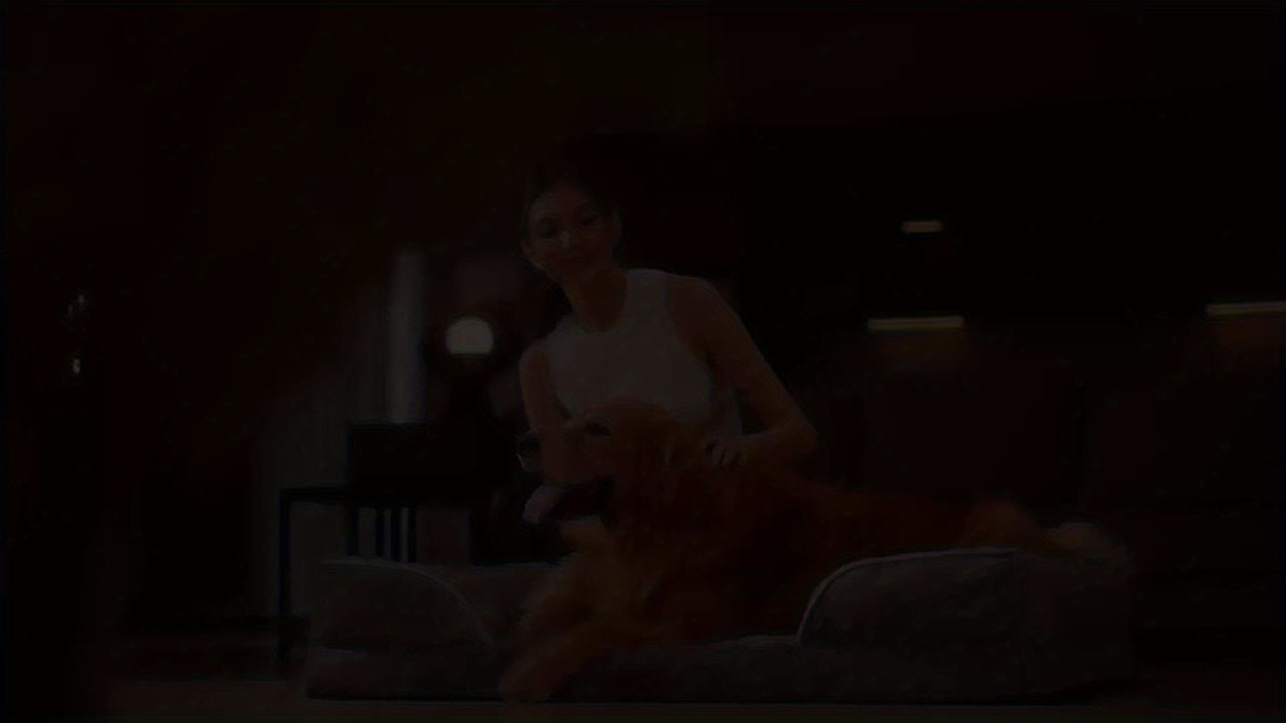 Chew Proof Memory Foam Dog Bed With Anxiety Relief Bolster