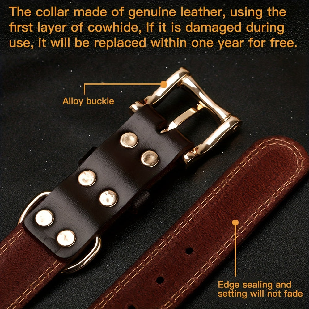 Personalized Engraved Dog Collar with Adjustable Buckle