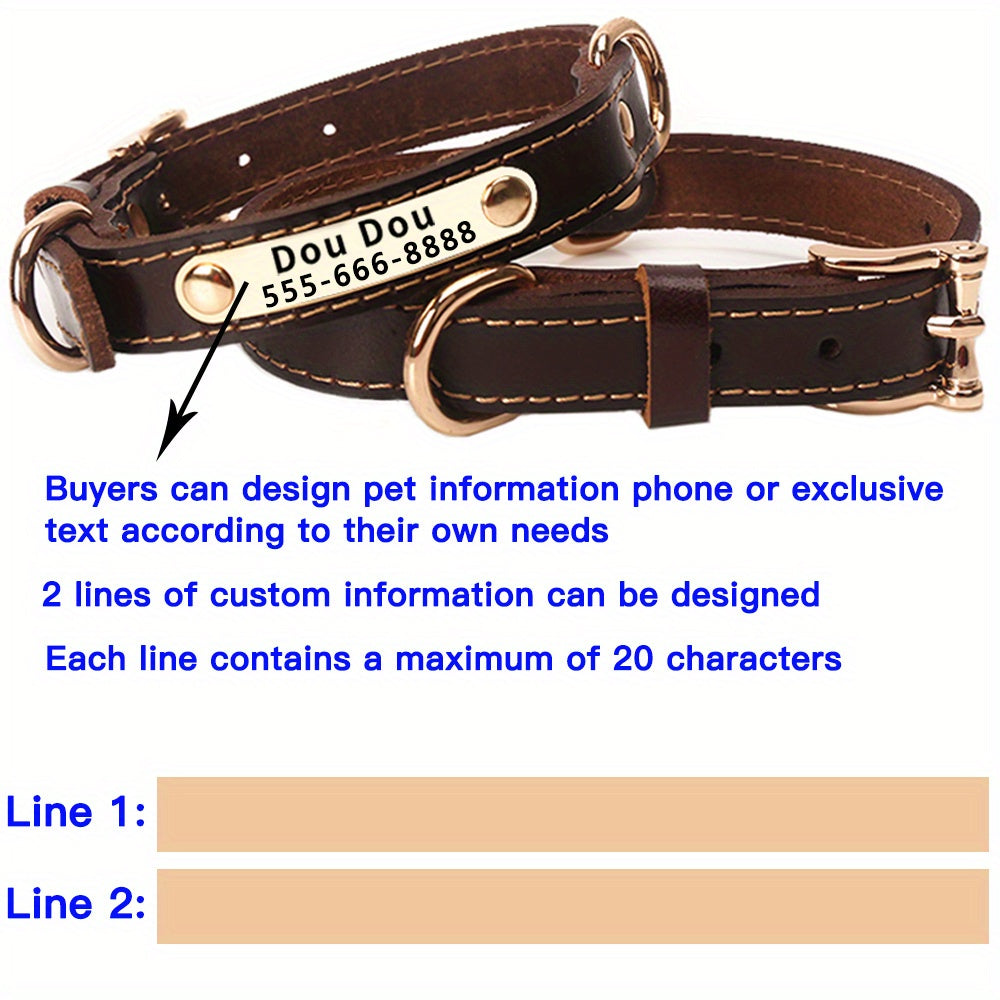 Personalized Engraved Dog Collar with Adjustable Buckle