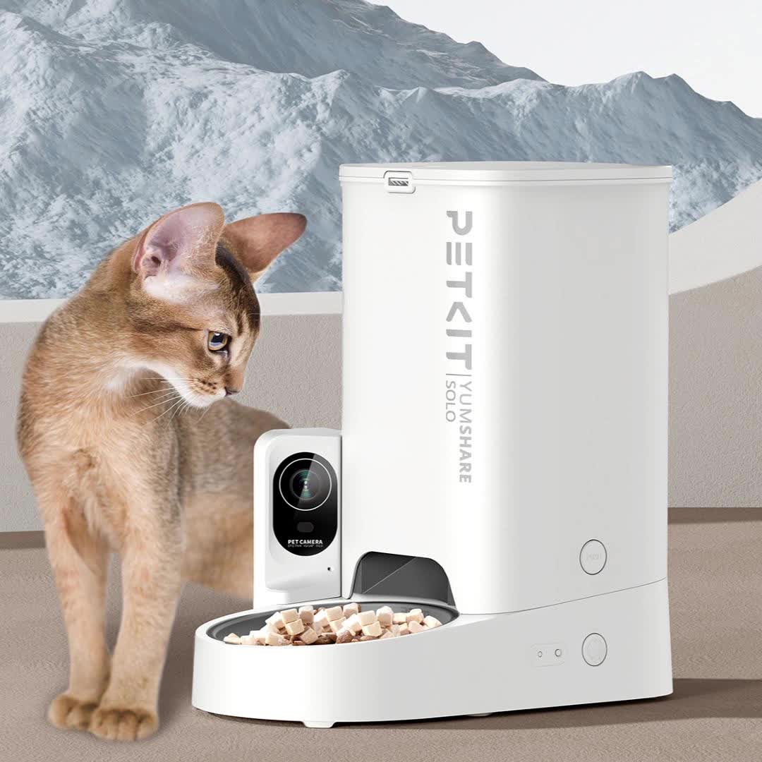 Automatic Pet Feeder With Camera Night Vision And WiFi App