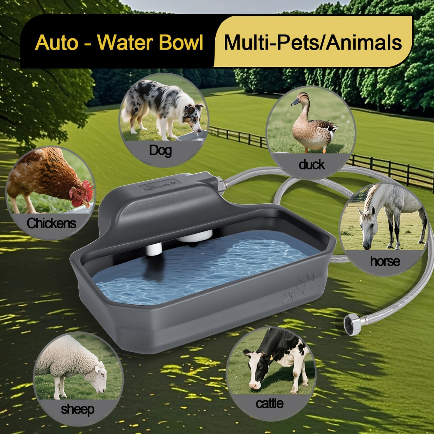 Automatic Dog Water Fountain Drinking Area Splash Proof