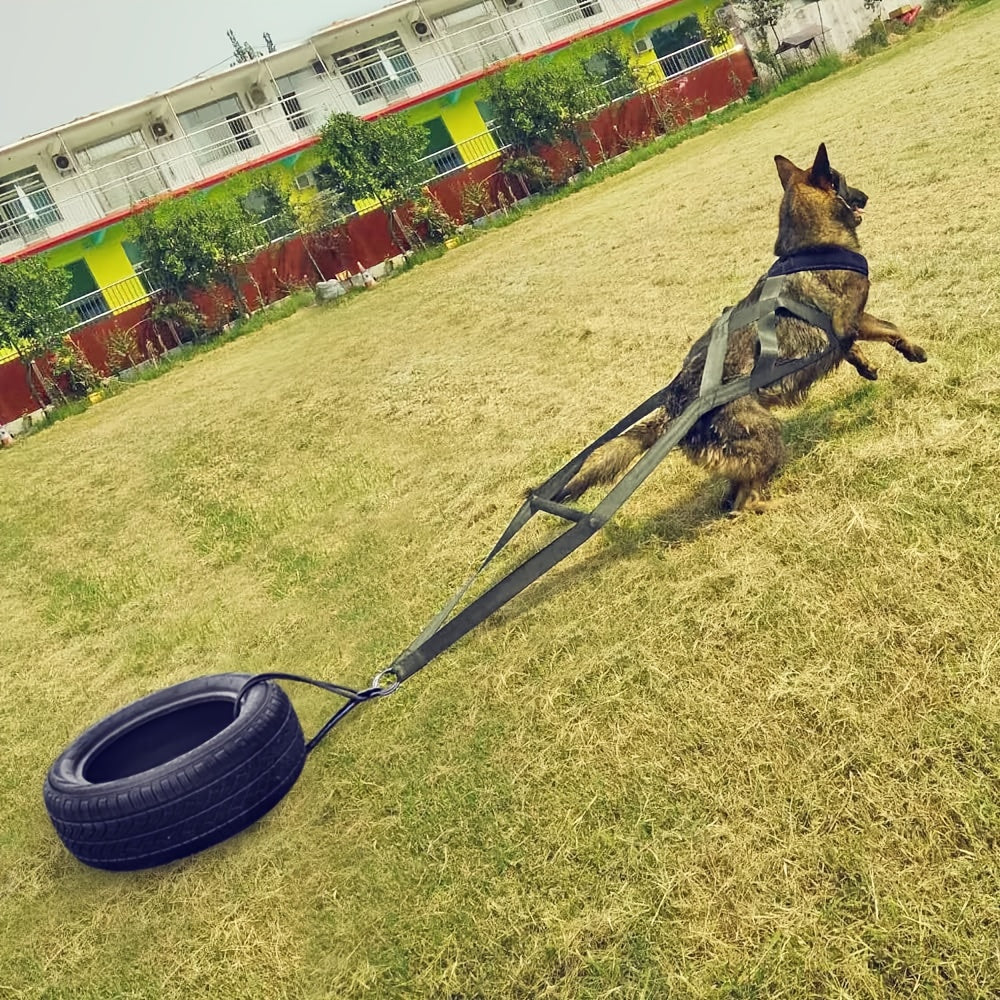 Heavy Duty Dog Traction Training Harness Adjustable Straps