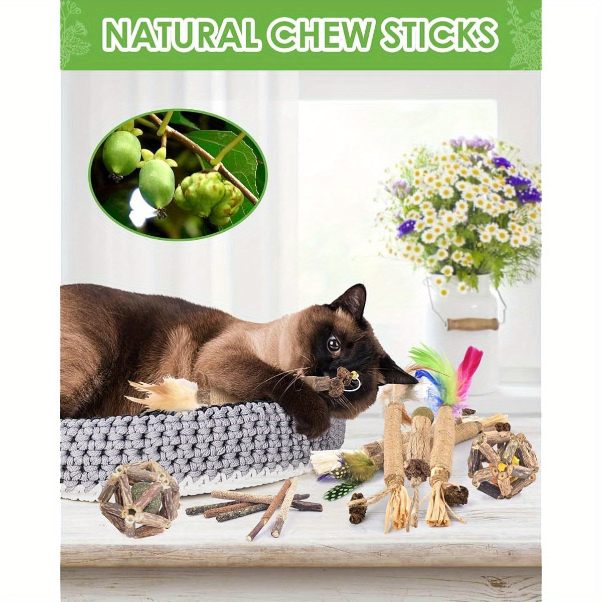 Cat Silvervine Chew Toys Pack With Sticks And Cage Balls