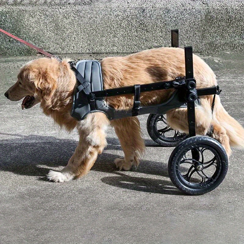 DogLemi Adjustable Wheelchair for Dogs with Hind Leg Mobility