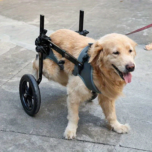 DogLemi Adjustable Wheelchair for Dogs with Hind Leg Mobility