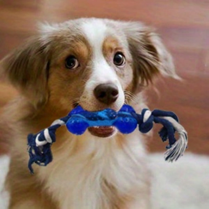 Heavy Duty Dog Chew Toys Set for Aggressive Chewers