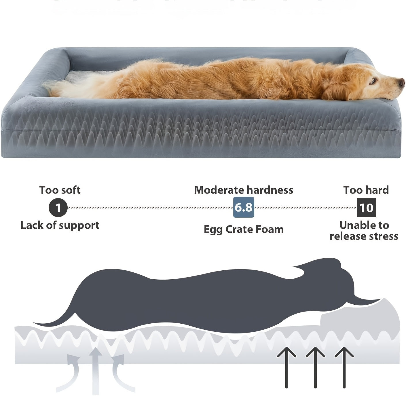 Cozy Plush Memory Foam Dog Bed With Removable Cover