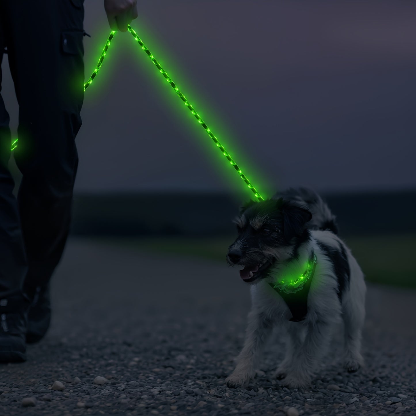 LED Glow In The Dark Dog Leash With Night Light Waterproof