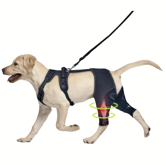Dog Hind Leg Support Guard With Chest Harness Leash