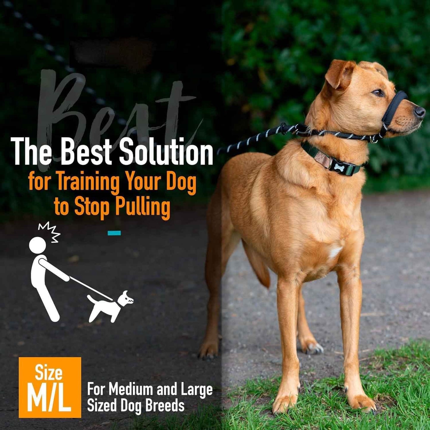 Integrated Anti-Pull Dog Leash With Bite-Resistant Rope