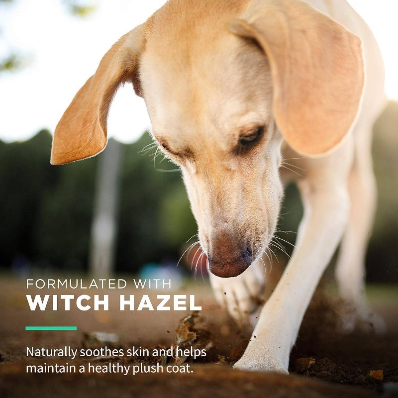 Gentle Witch Hazel Dog Wipes For Snout Eye Ear Cleaning