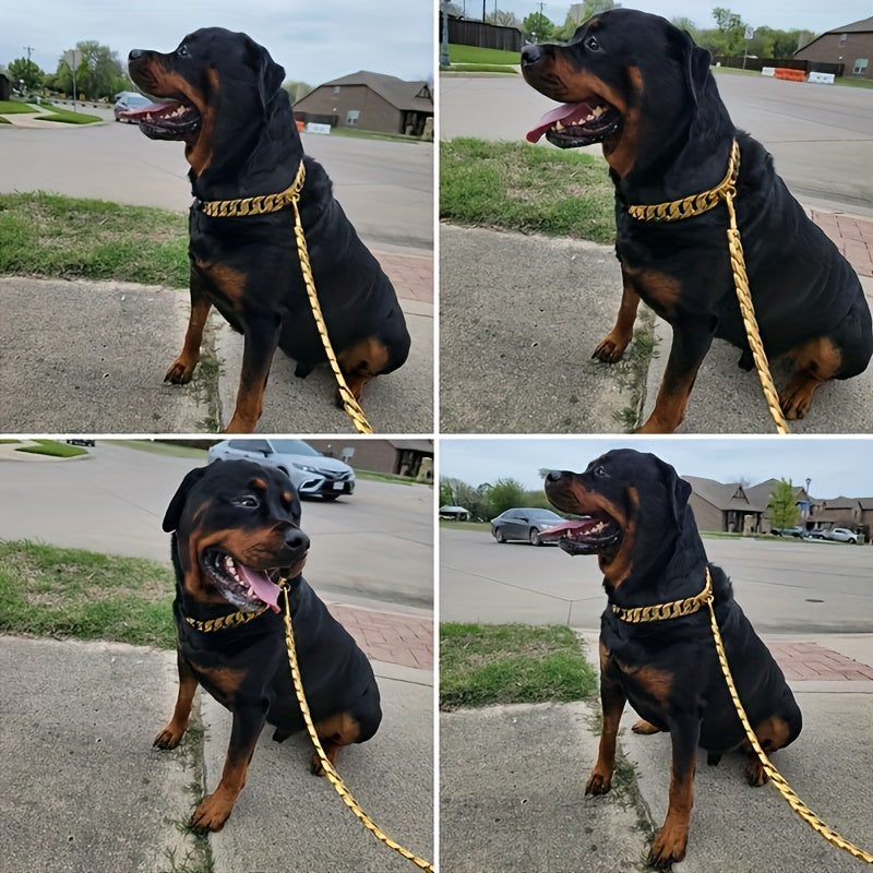 Customizable Stainless Steel Dog Collar With Safety Lock