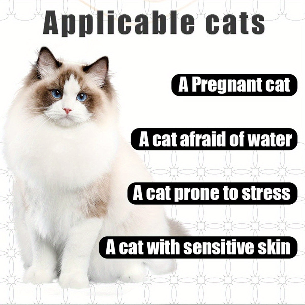 No Rinse Cat Bath Spray Quick Dry Leave In Grooming