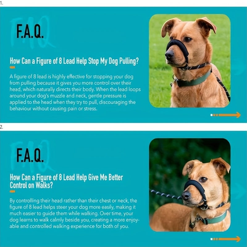 Integrated Anti-Pull Dog Leash With Bite-Resistant Rope