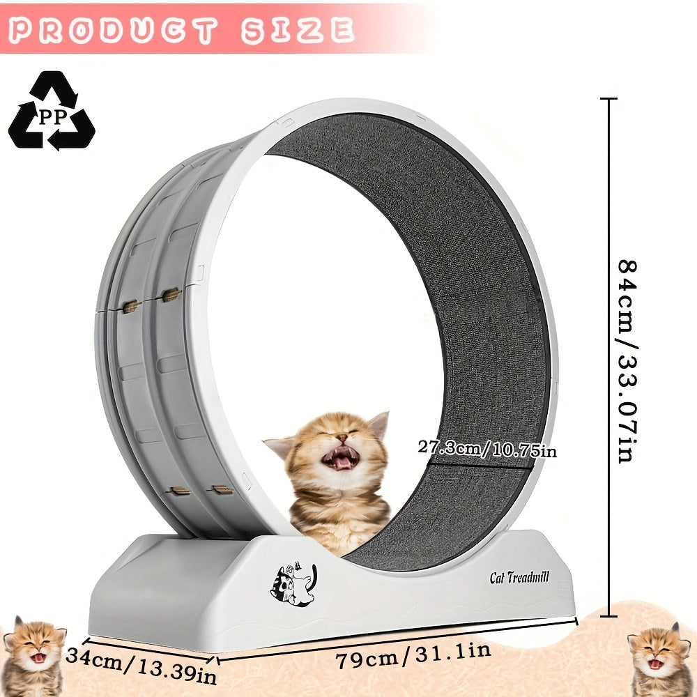 Cat Exercise Wheel for Indoor Fitness and Health Activities