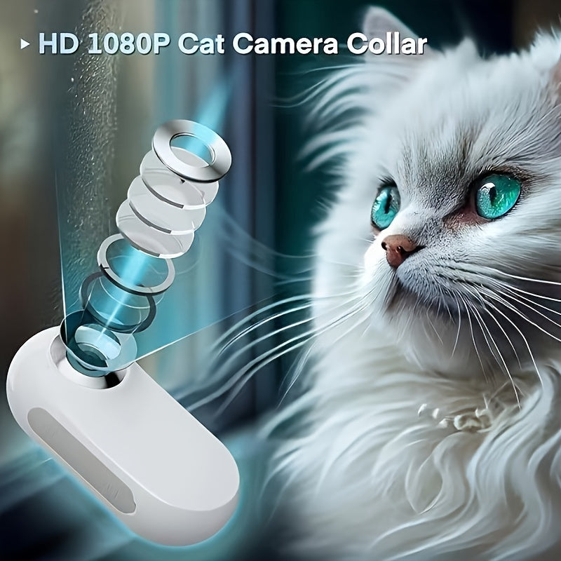 HD 1080P Pet Collar Camera With Infrared Sensor 8GB Card