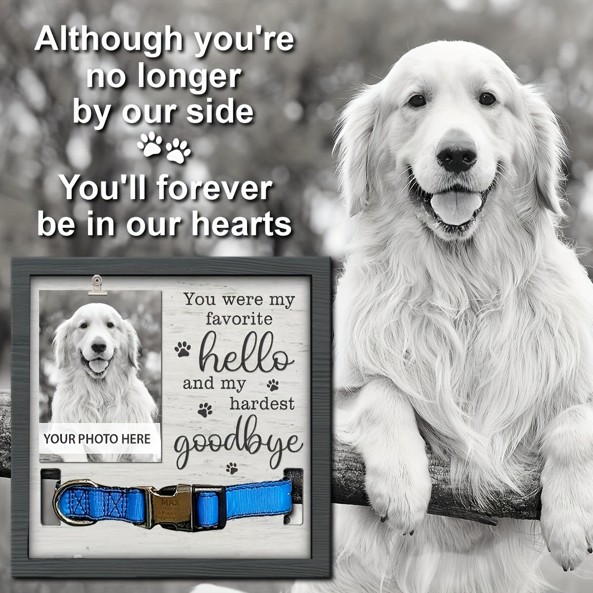MUMUPET Dog Memorial Picture Frame With Collar Holder
