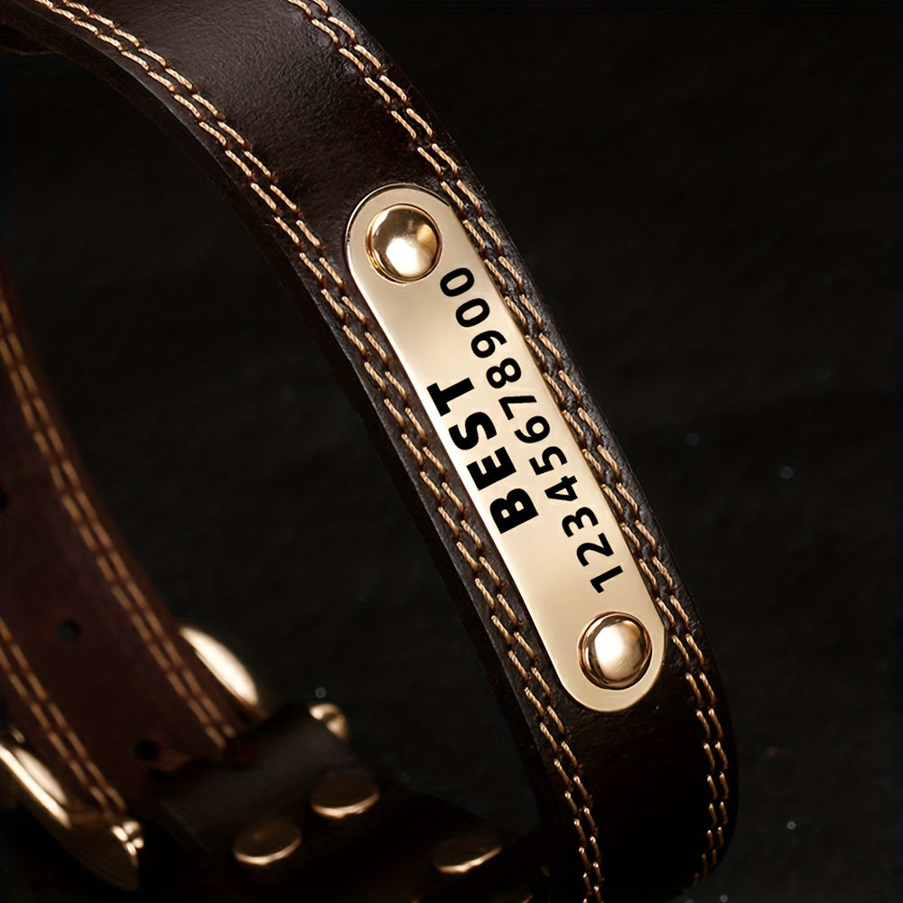 Personalized Engraved Dog Collar with Adjustable Buckle
