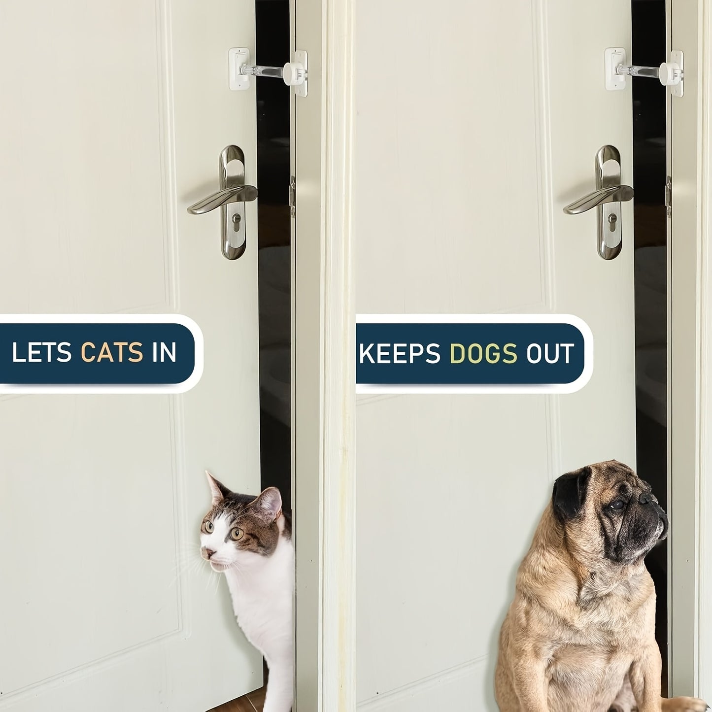Adjustable Cat Door Latch And Stopper For Outdoor Use