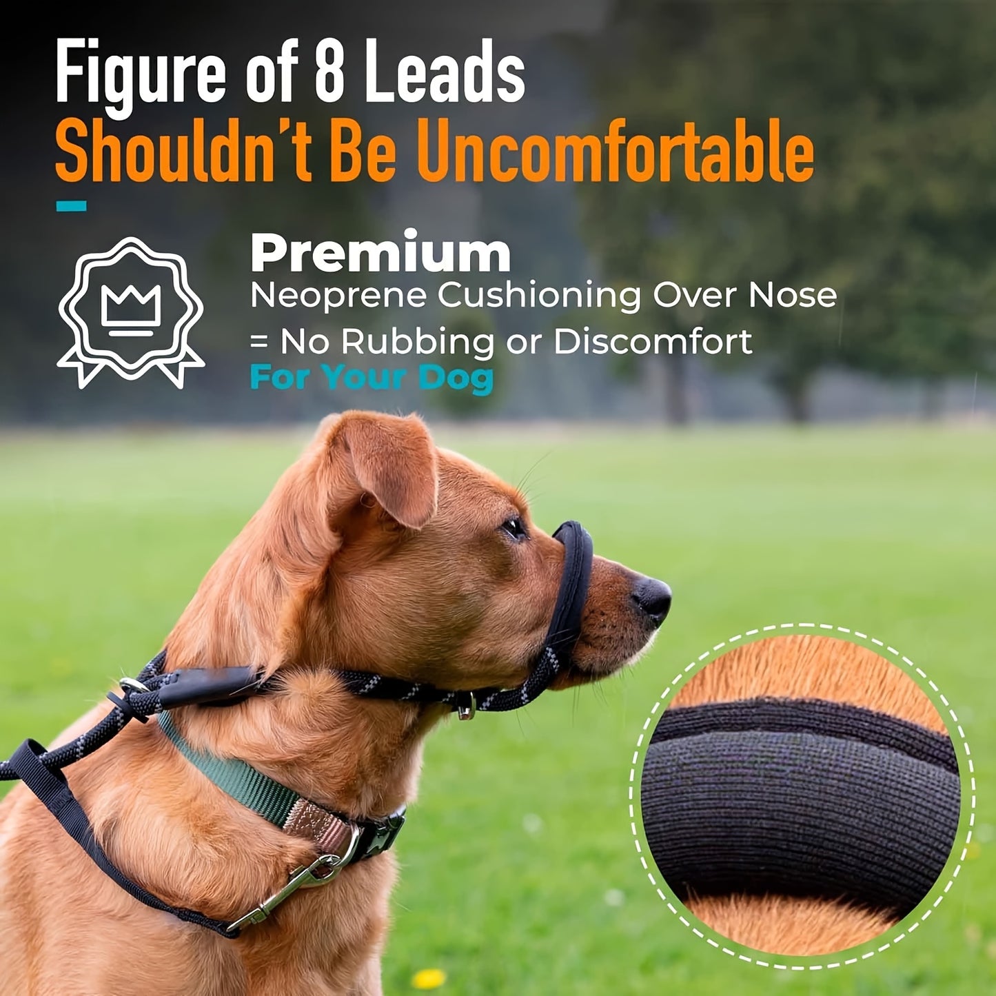 Integrated Anti-Pull Dog Leash With Bite-Resistant Rope