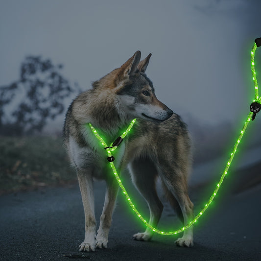 LED Glow In The Dark Dog Leash With Night Light Waterproof