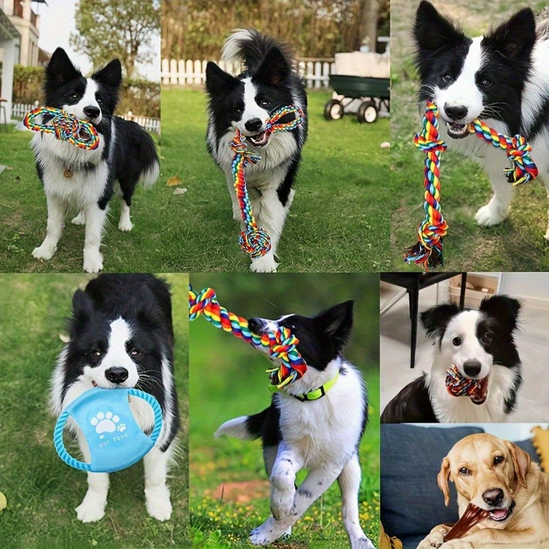 6Pcs Unbreakable Heavy Duty Dog Chew Toys For All Breeds