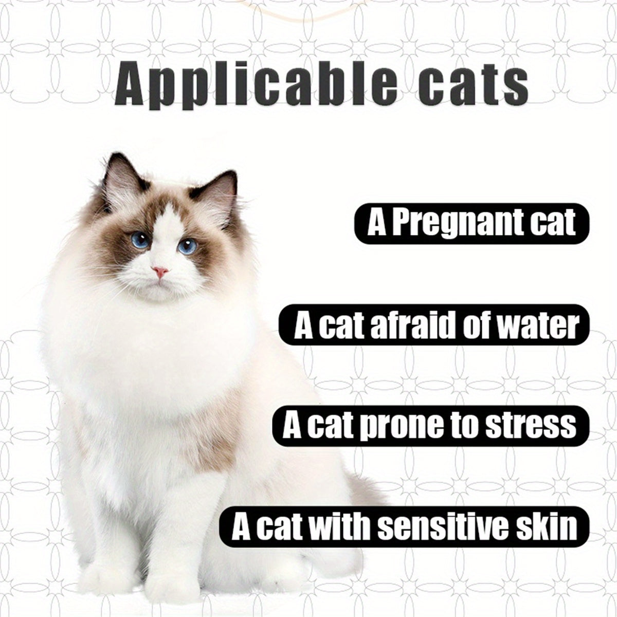 No Rinse Cat Bath Spray Quick Dry Leave In Grooming