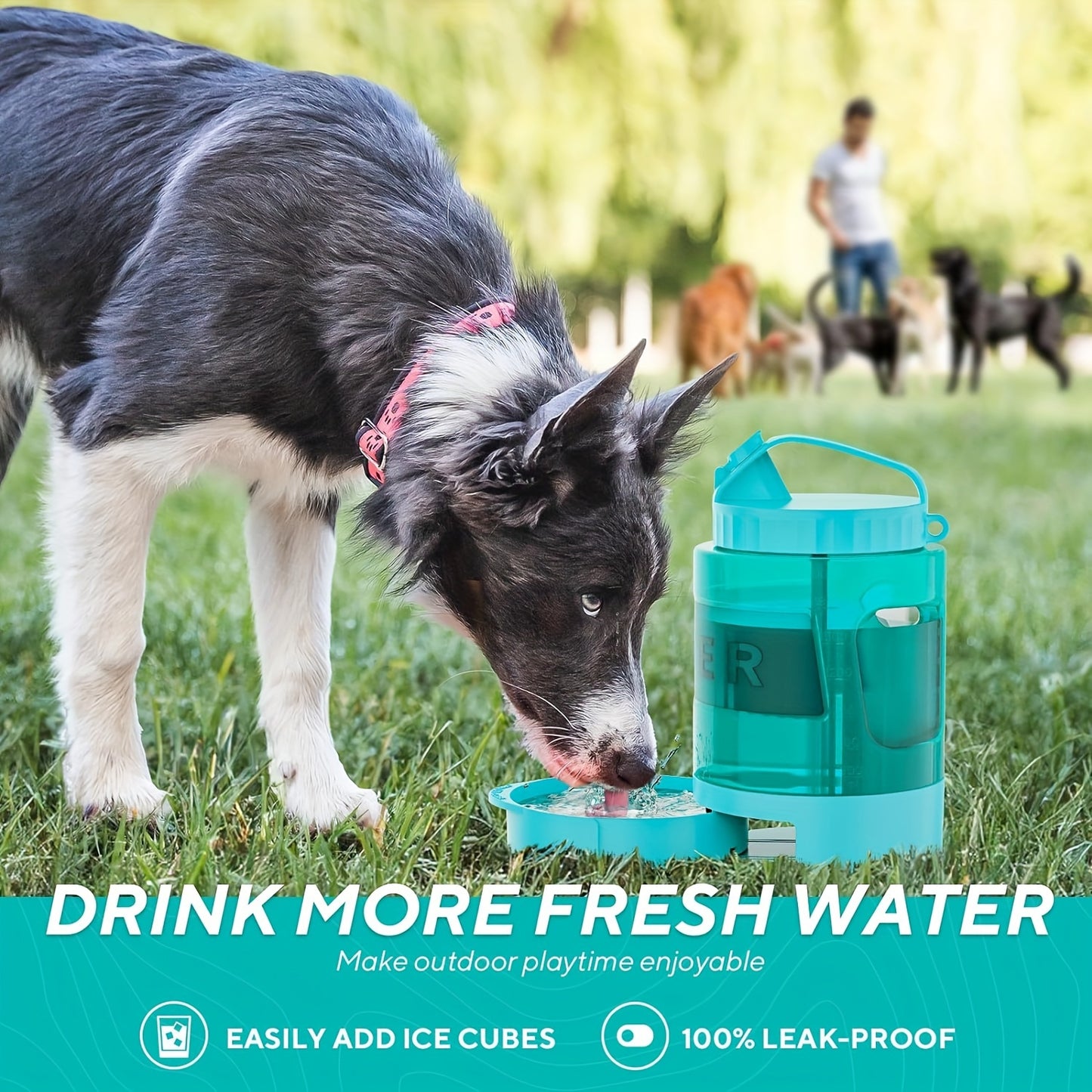 Lesotc Dog Water Dispenser Bowl Travel Bottle For Outdoors