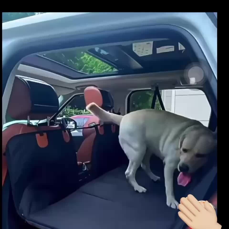 Heavy-Duty Waterproof Dog Car Seat Extender and Protector