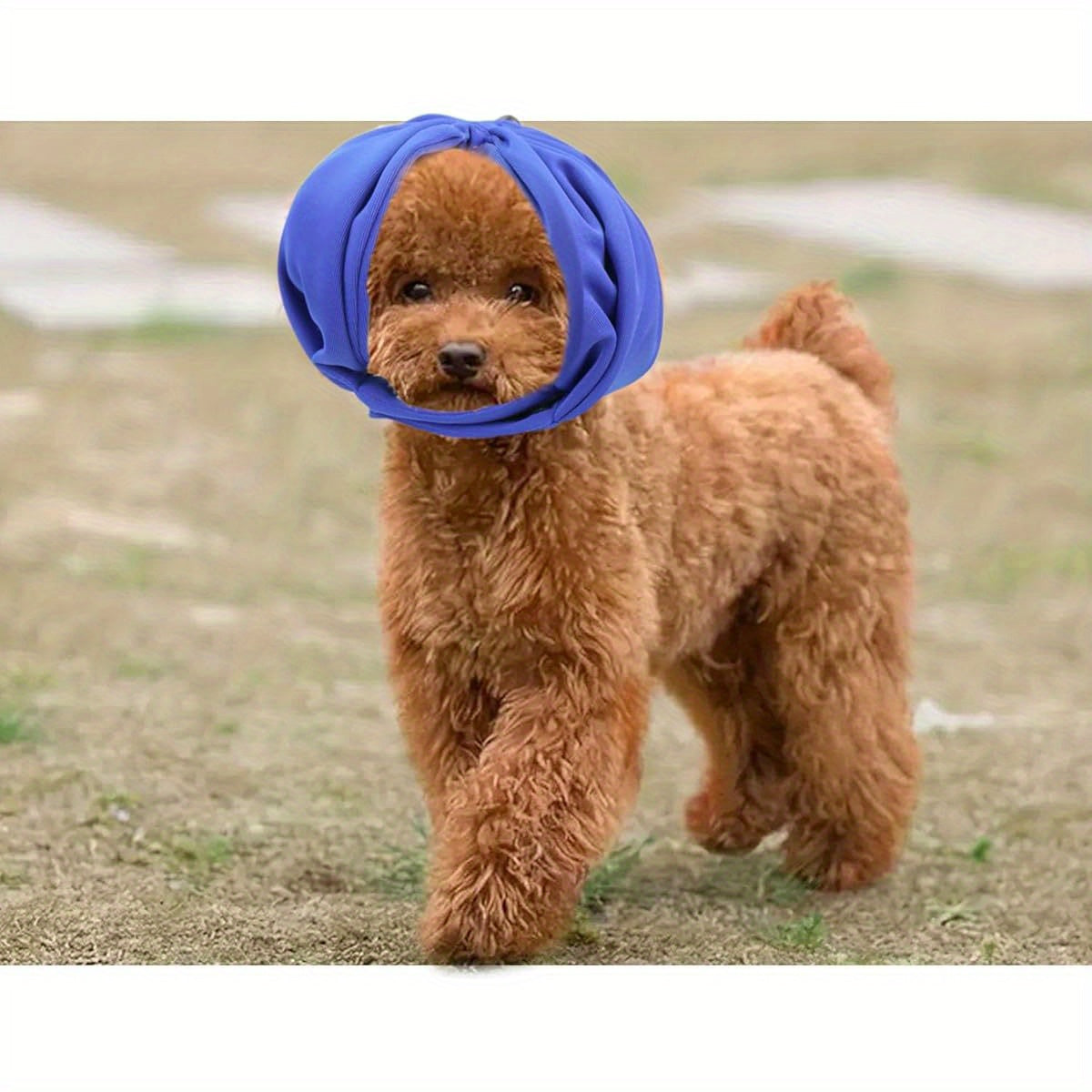 Small Dog Ear Muffs for Anxiety Relief and Grooming