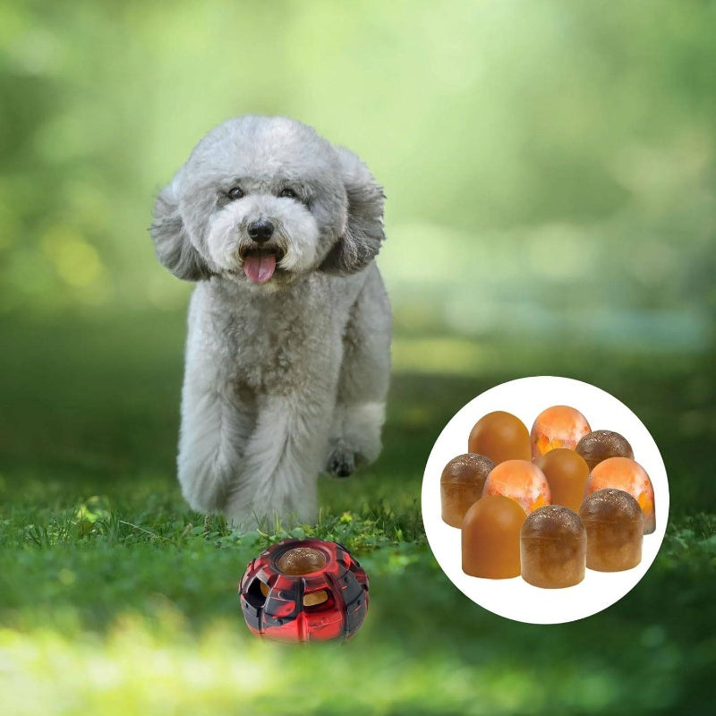 Interactive Dog Puzzle Toy Treat Dispenser For Power Chewers