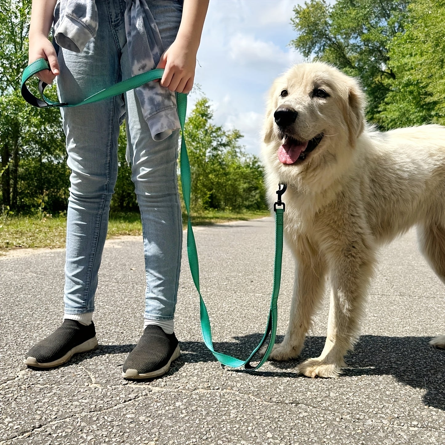 Personalized Reflective Embroidery Double Handle Dog Leash