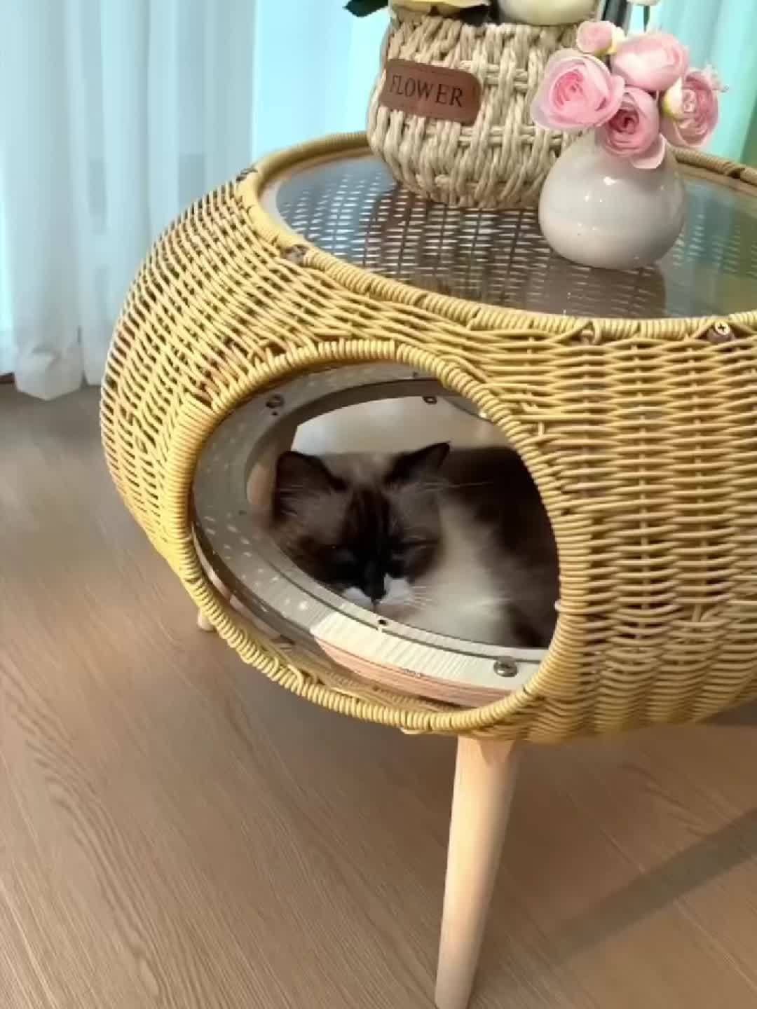 Transparent Space Capsule Cat Hammock With Storage Table