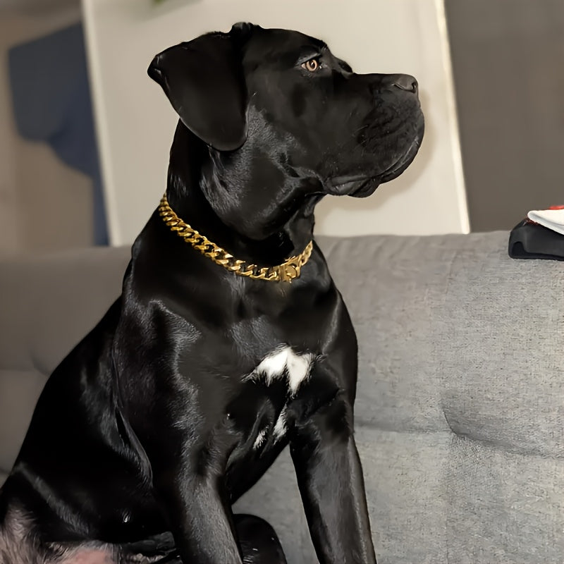 Customizable Stainless Steel Dog Collar With Safety Lock
