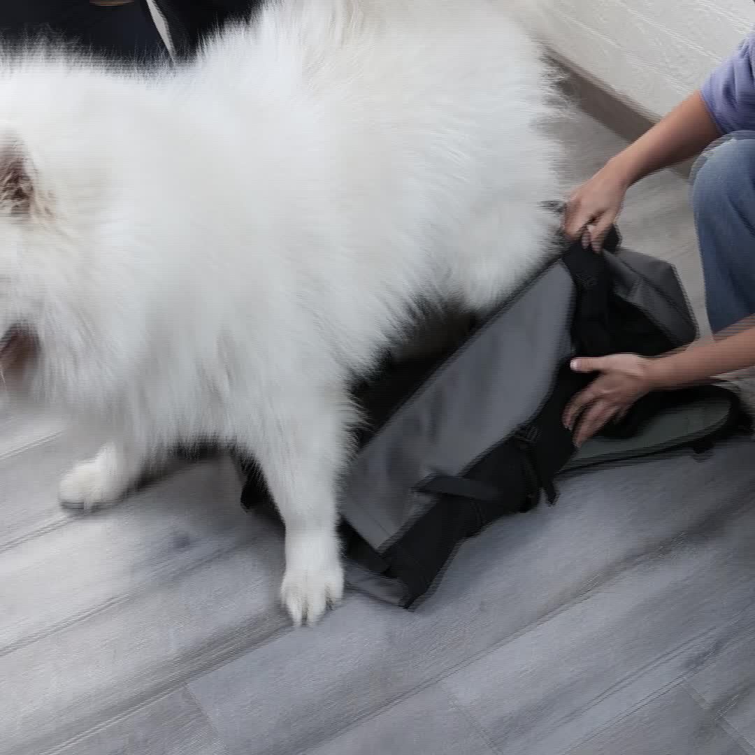DogLemi Large Dog Backpack For Hiking And Cycling Gear